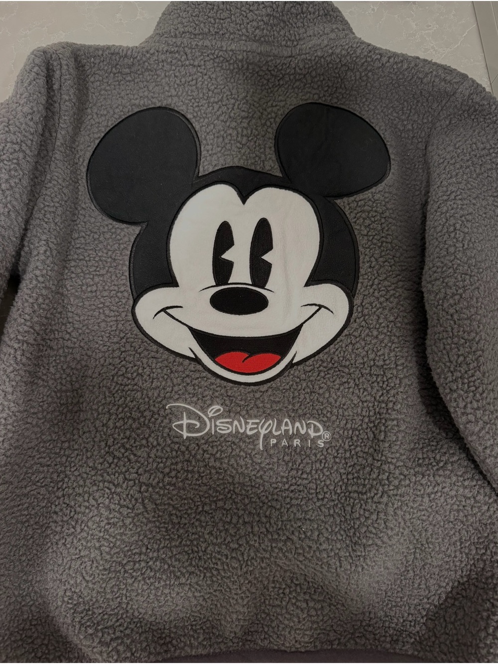 Disney Grey Mickey Disneyland Paris Fleece Jacket with Graphic